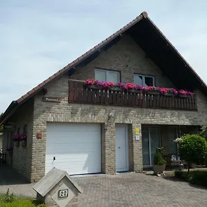 Pimpernel , Bredene Belgien